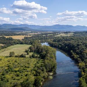 Photo #5 of Off CAVALIER RD, RILEYVILLE, VA 115.5 acres