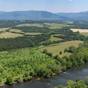 Photo #8 of Off CAVALIER RD, RILEYVILLE, VA 115.5 acres