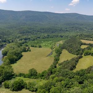 Photo #40 of Off CAVALIER RD, RILEYVILLE, VA 115.5 acres