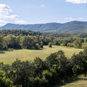 Photo #75 of Off CAVALIER RD, RILEYVILLE, VA 115.5 acres