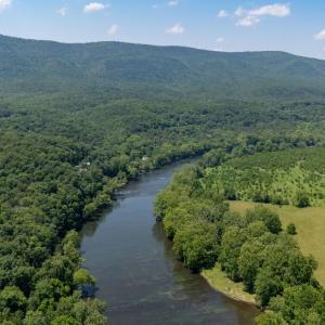 Photo #35 of Off CAVALIER RD, RILEYVILLE, VA 115.5 acres