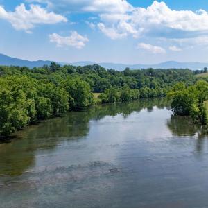 Photo #15 of Off CAVALIER RD, RILEYVILLE, VA 115.5 acres