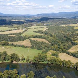 Photo #12 of Off CAVALIER RD, RILEYVILLE, VA 115.5 acres