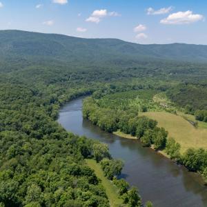 Photo #38 of Off CAVALIER RD, RILEYVILLE, VA 115.5 acres
