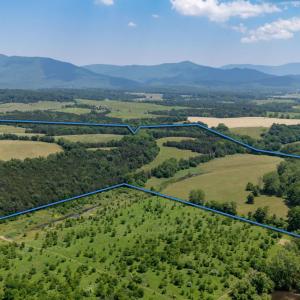 Photo #6 of Off CAVALIER RD, RILEYVILLE, VA 115.5 acres