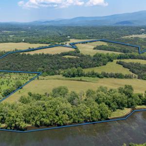 Photo #10 of Off CAVALIER RD, RILEYVILLE, VA 115.5 acres