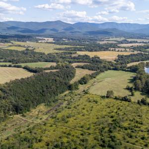 Photo #4 of Off CAVALIER RD, RILEYVILLE, VA 115.5 acres