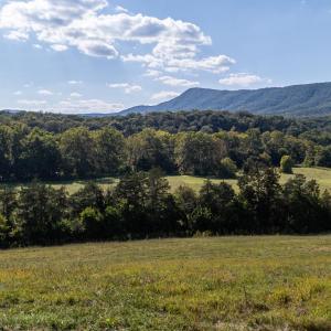Photo #72 of Off CAVALIER RD, RILEYVILLE, VA 115.5 acres