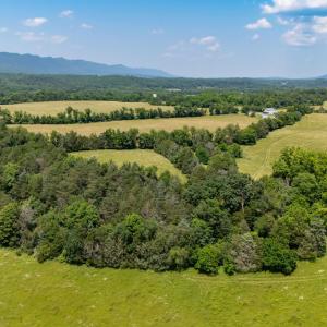 Photo #59 of Off CAVALIER RD, RILEYVILLE, VA 115.5 acres