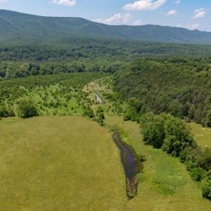 Photo #58 of Off CAVALIER RD, RILEYVILLE, VA 115.5 acres