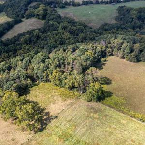 Photo #70 of Off CAVALIER RD, RILEYVILLE, VA 115.5 acres
