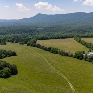 Photo #51 of Off CAVALIER RD, RILEYVILLE, VA 115.5 acres