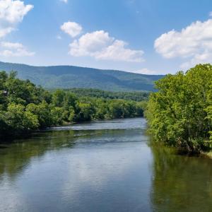 Photo #22 of Off CAVALIER RD, RILEYVILLE, VA 115.5 acres