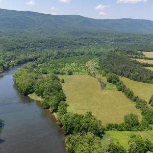 Photo #36 of Off CAVALIER RD, RILEYVILLE, VA 115.5 acres