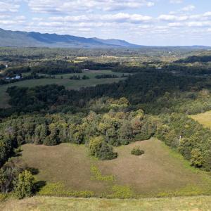 Photo #67 of Off CAVALIER RD, RILEYVILLE, VA 115.5 acres