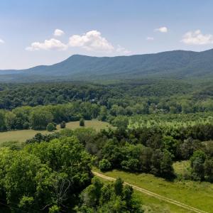 Photo #60 of Off CAVALIER RD, RILEYVILLE, VA 115.5 acres