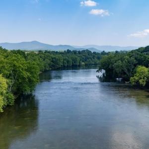 Photo #18 of Off CAVALIER RD, RILEYVILLE, VA 115.5 acres