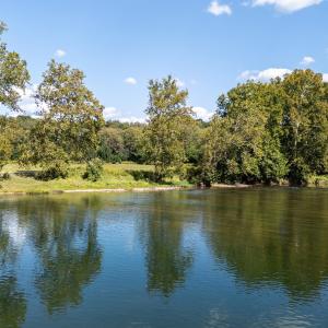 Photo #26 of Off CAVALIER RD, RILEYVILLE, VA 115.5 acres