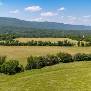 Photo #62 of Off CAVALIER RD, RILEYVILLE, VA 115.5 acres