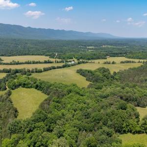 Photo #39 of Off CAVALIER RD, RILEYVILLE, VA 115.5 acres