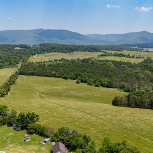 Photo #54 of Off CAVALIER RD, RILEYVILLE, VA 115.5 acres