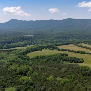 Photo #44 of Off CAVALIER RD, RILEYVILLE, VA 115.5 acres
