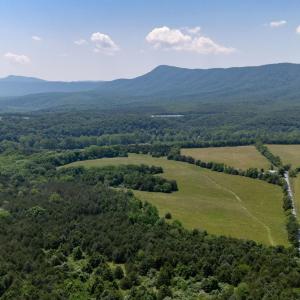 Photo #46 of Off CAVALIER RD, RILEYVILLE, VA 115.5 acres
