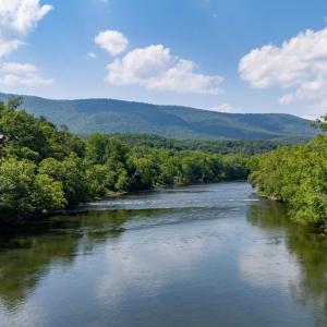 Photo #23 of Off CAVALIER RD, RILEYVILLE, VA 115.5 acres