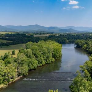 Photo #16 of Off CAVALIER RD, RILEYVILLE, VA 115.5 acres