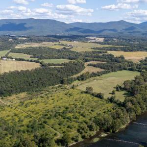 Photo #3 of Off CAVALIER RD, RILEYVILLE, VA 115.5 acres