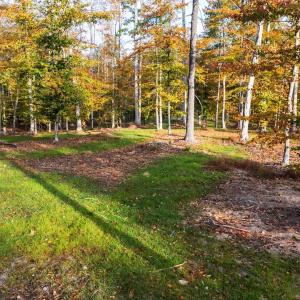Photo #10 of TBD SHADWELL RD, KESWICK, VA 42.1 acres
