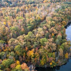 Photo #35 of TBD SHADWELL RD, KESWICK, VA 42.1 acres
