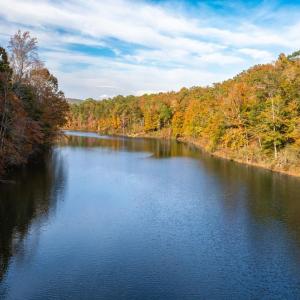 Photo #22 of TBD SHADWELL RD, KESWICK, VA 42.1 acres