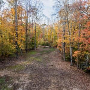 Photo #29 of TBD SHADWELL RD, KESWICK, VA 42.1 acres