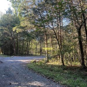 Photo #4 of D47 GREENWAY LN, LURAY, VA 0.7 acres