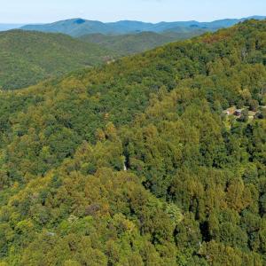Photo #10 of TBD FOREST HOMES DR, ELKTON, VA 5.6 acres