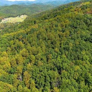 Photo #5 of TBD FOREST HOMES DR, ELKTON, VA 5.6 acres