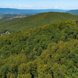 Photo #1 of TBD FOREST HOMES DR, ELKTON, VA 5.6 acres