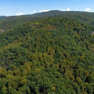 Photo #11 of TBD FOREST HOMES DR, ELKTON, VA 5.6 acres