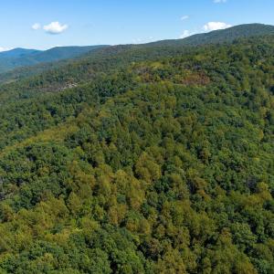 Photo #7 of TBD FOREST HOMES DR, ELKTON, VA 5.6 acres