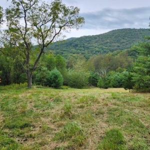 Photo #8 of ROCKY BRANCH RD, LURAY, VA 71.0 acres