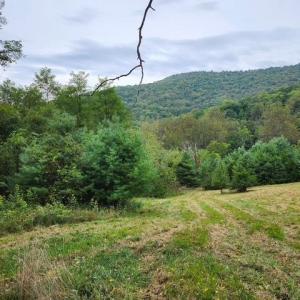 Photo #6 of ROCKY BRANCH RD, LURAY, VA 71.0 acres