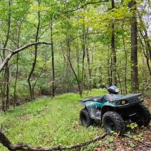 Photo #5 of ROCKY BRANCH RD, LURAY, VA 71.0 acres