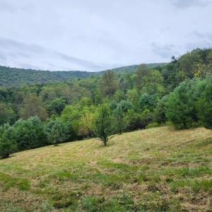 Photo #7 of ROCKY BRANCH RD, LURAY, VA 71.0 acres