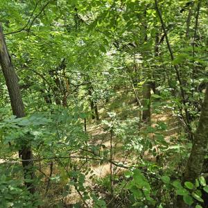 Photo #1 of 3 acres MOSSY CREEK RD, MOUNT SOLON, VA 3.0 acres