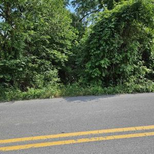 Photo #2 of 3 acres MOSSY CREEK RD, MOUNT SOLON, VA 3.0 acres