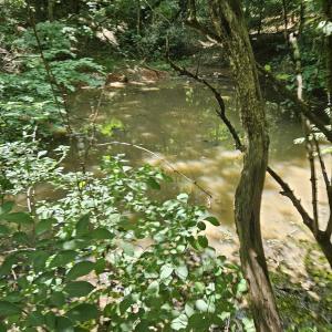 Photo #6 of 3.39 acres MOSSY CREEK RD, MOUNT SOLON, VA 3.4 acres