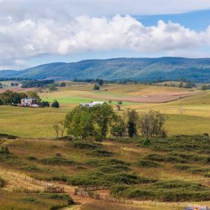 Photo #13 of 594 HEWITT RD, SWOOPE, VA 27.5 acres