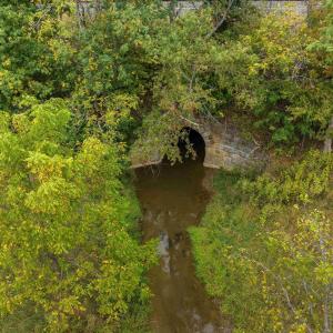Photo #17 of 594 HEWITT RD, SWOOPE, VA 27.5 acres