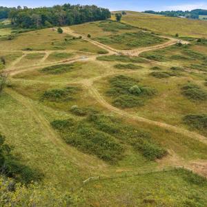Photo #21 of 594 HEWITT RD, SWOOPE, VA 27.5 acres